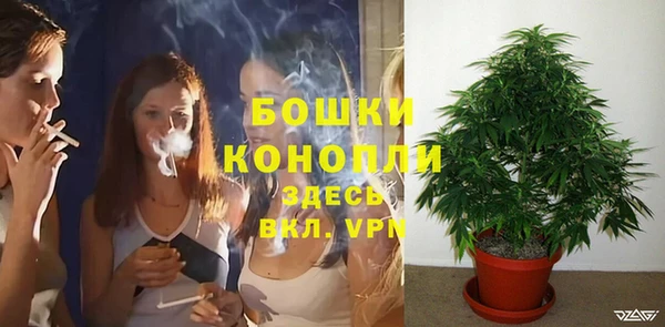 соль ск Надым
